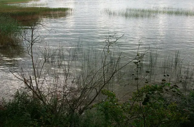 Lake Narach