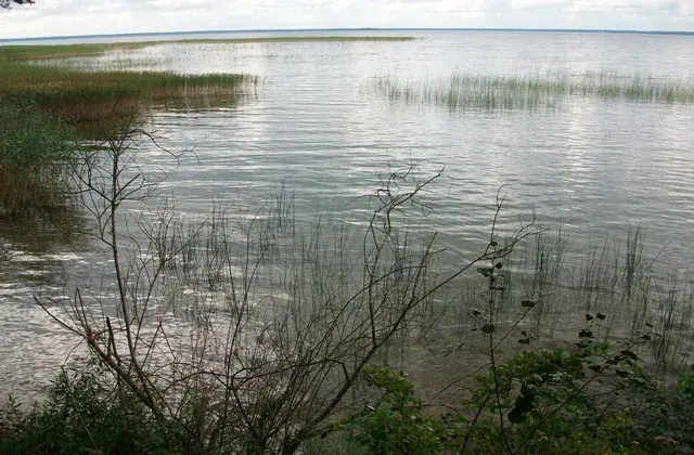 Narach National Park