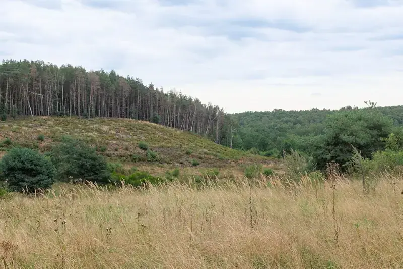 Hoge Kempen National Park