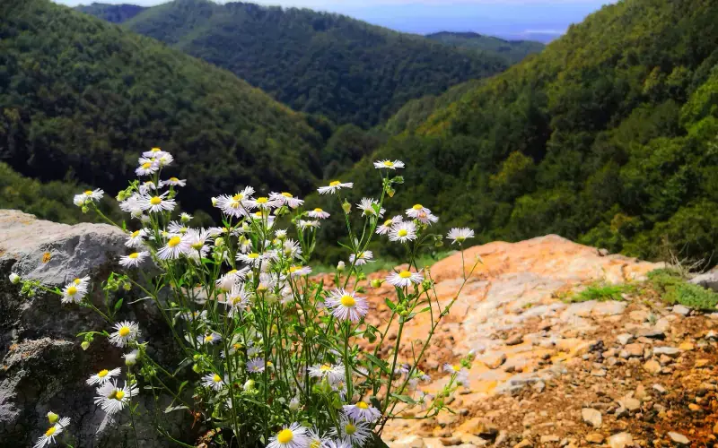 Kozara National Park
