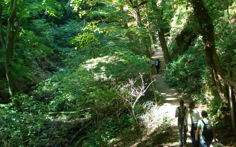 Medvednica Nature Park and Sljeme