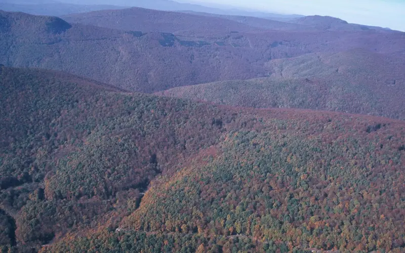 Papuk Nature Park and Jankovac