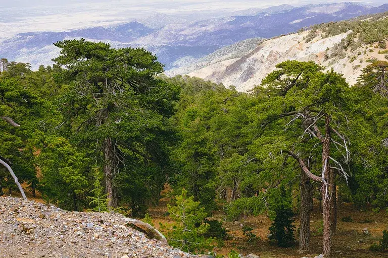 Mount Olympus / Chionistra