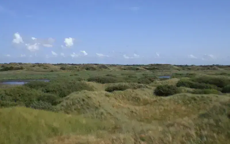 Fanø