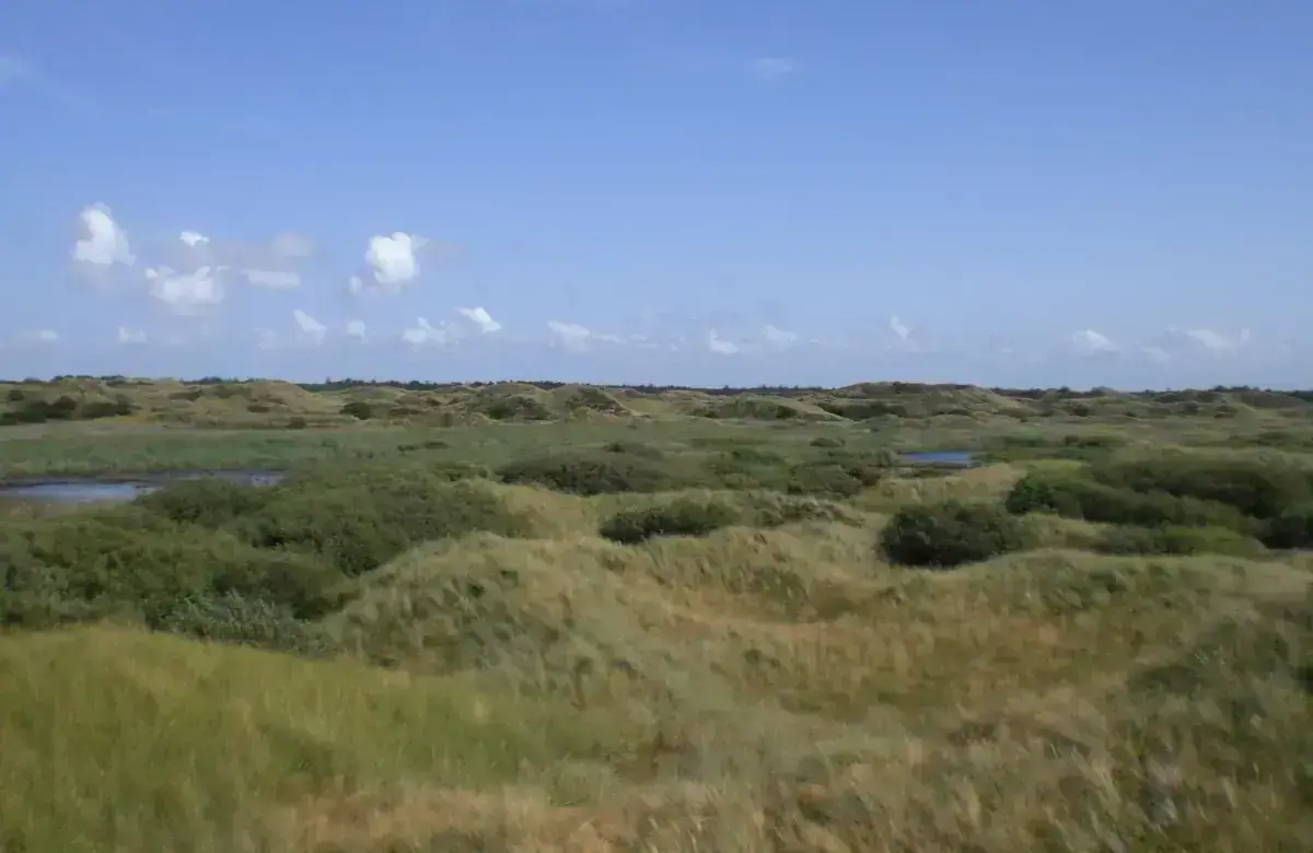 Fanø
