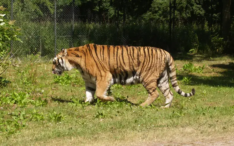 Knuthenborg Safaripark