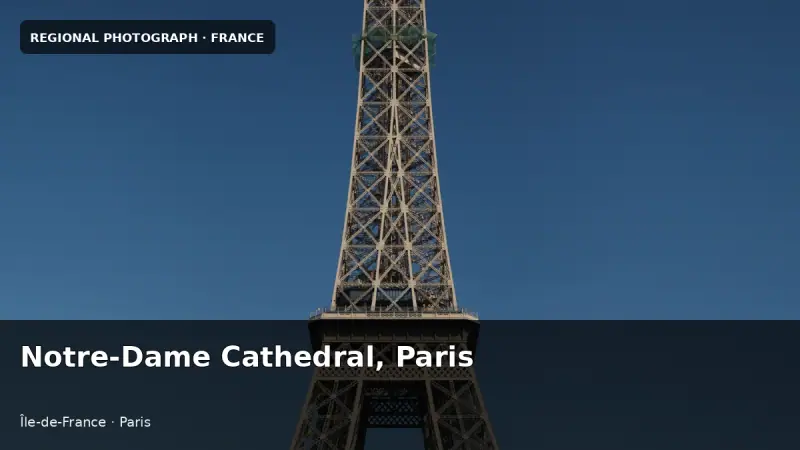 Notre-Dame Cathedral, Paris