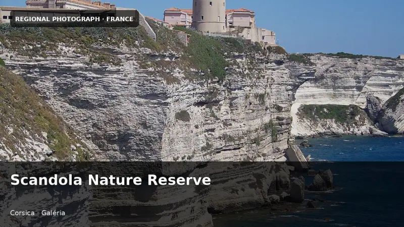 Scandola Nature Reserve