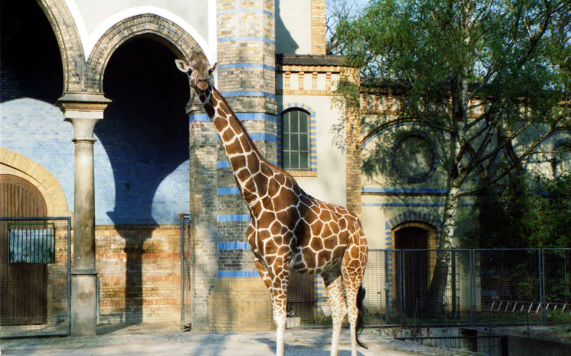 Berlin Zoological Garden
