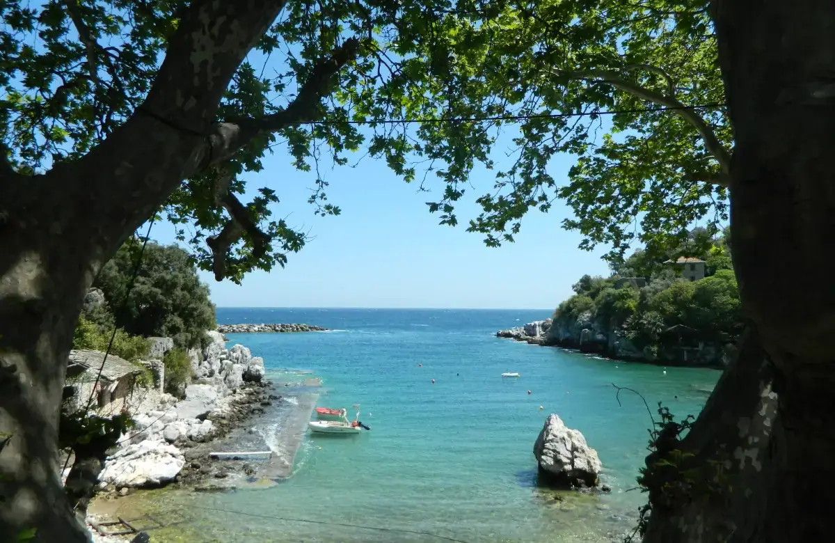 Damouchari