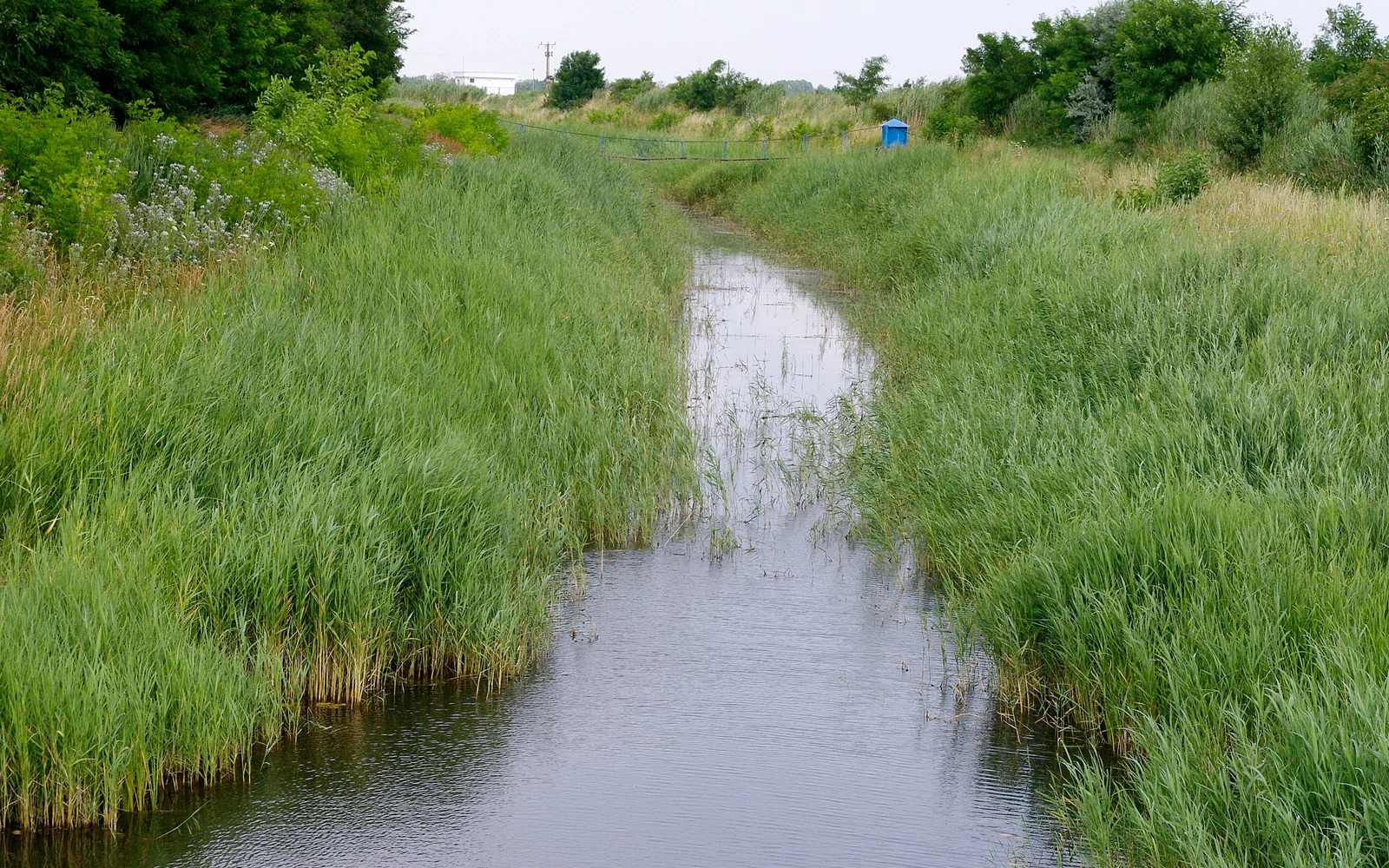 Fertő-Hanság National Park (Hanság side)