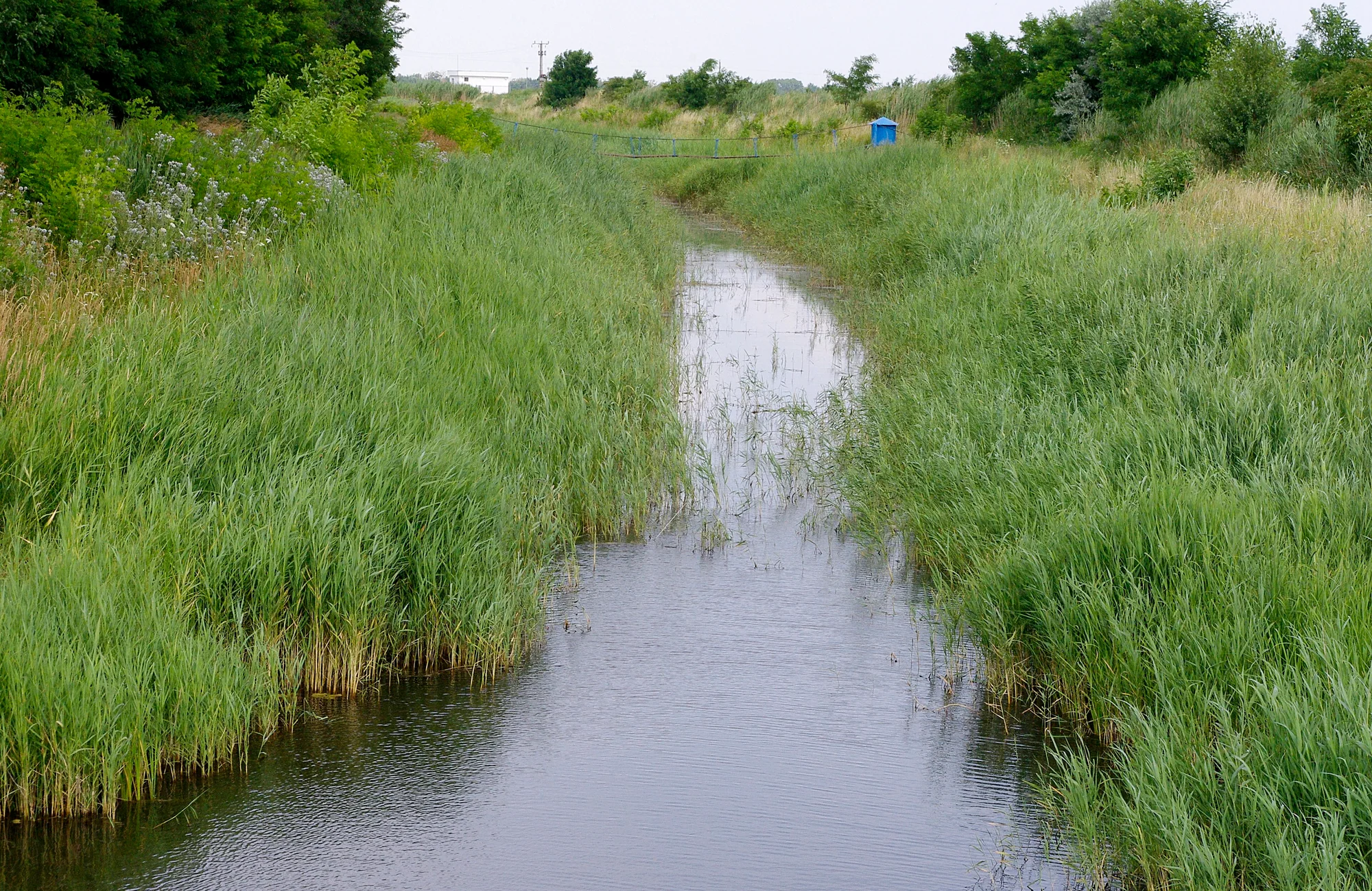 Fertő-Hanság National Park (Hanság side)