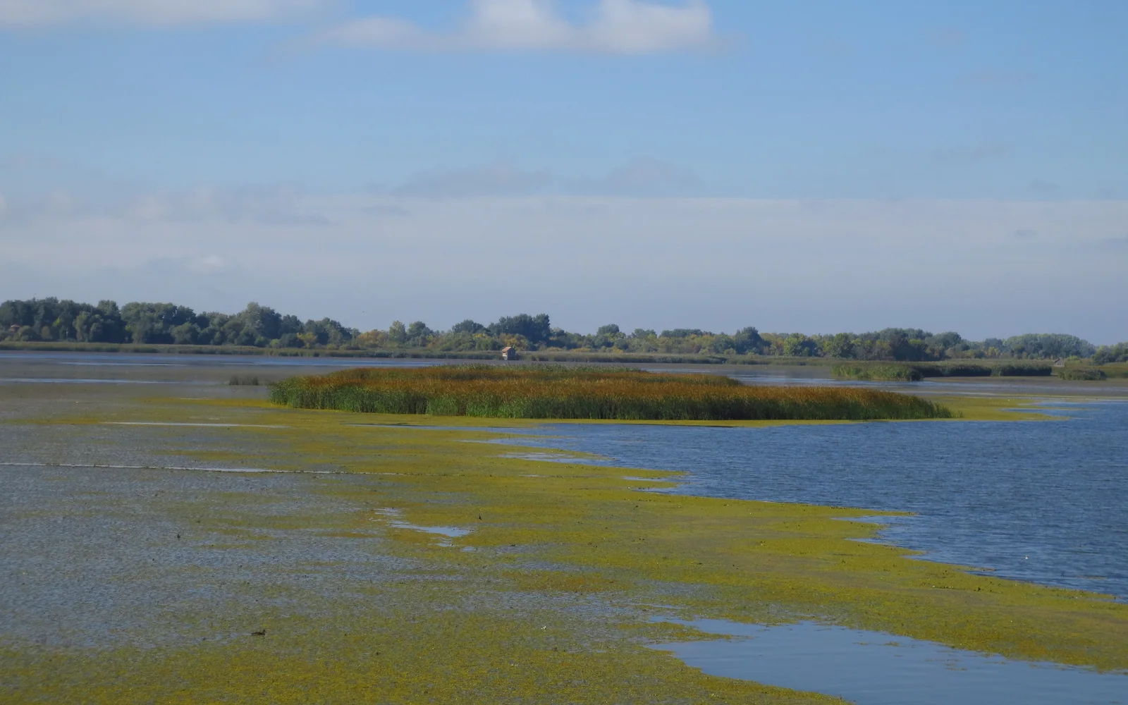 Tisza Lake