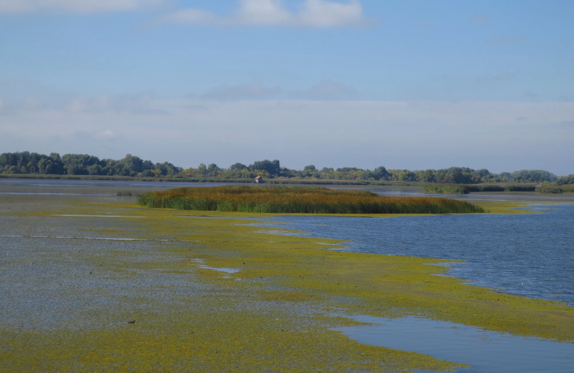 Tisza Lake