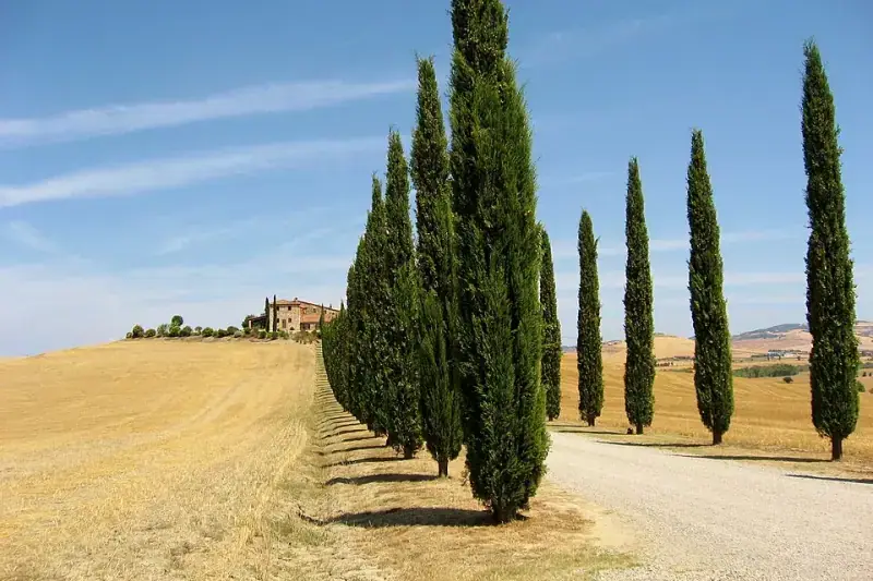 Italy