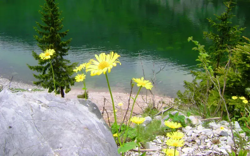 Leqinat Lake