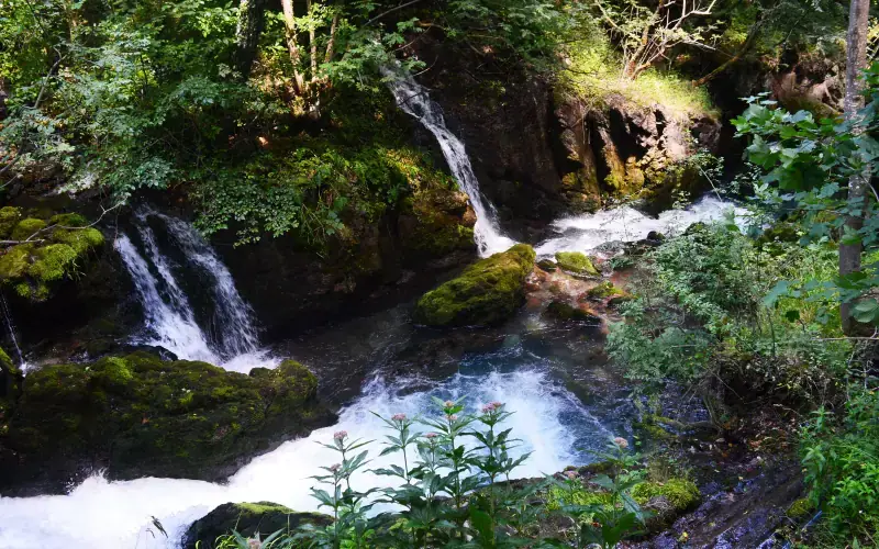 White Drin Waterfall