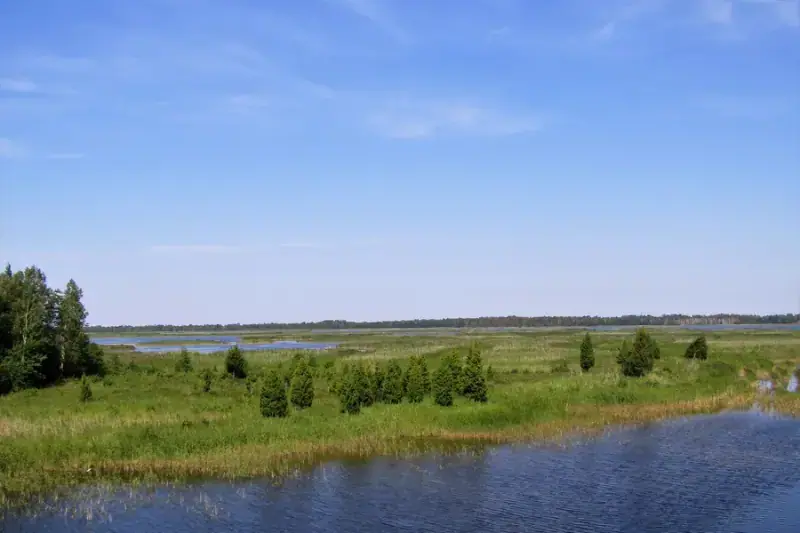 Lake Kaņieris Birdwatching Tower