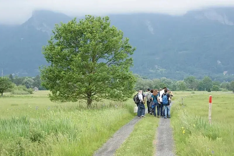 Ruggeller Riet Nature Reserve