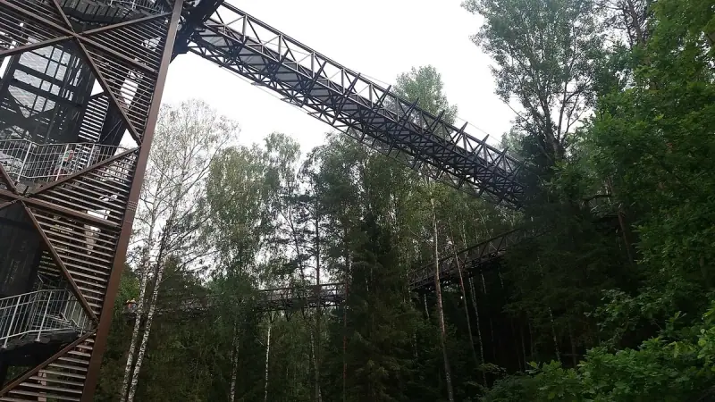 Anykščiai Treetop Walking Path