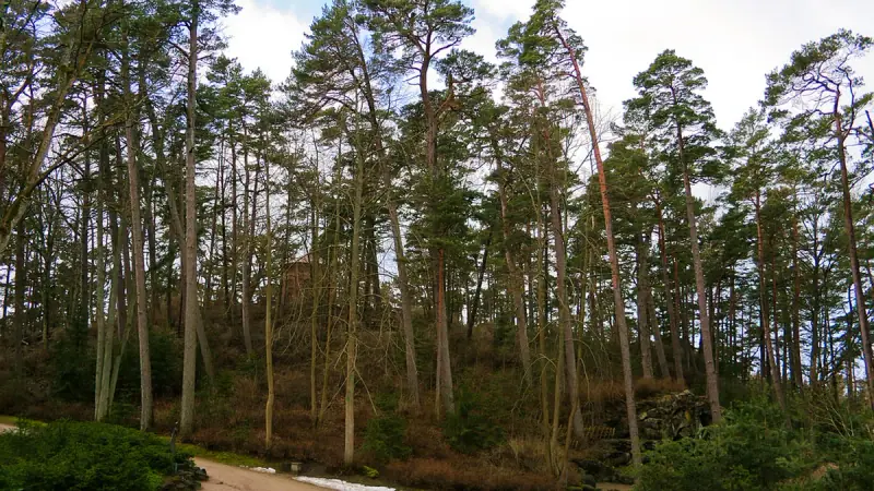 Birutė Park