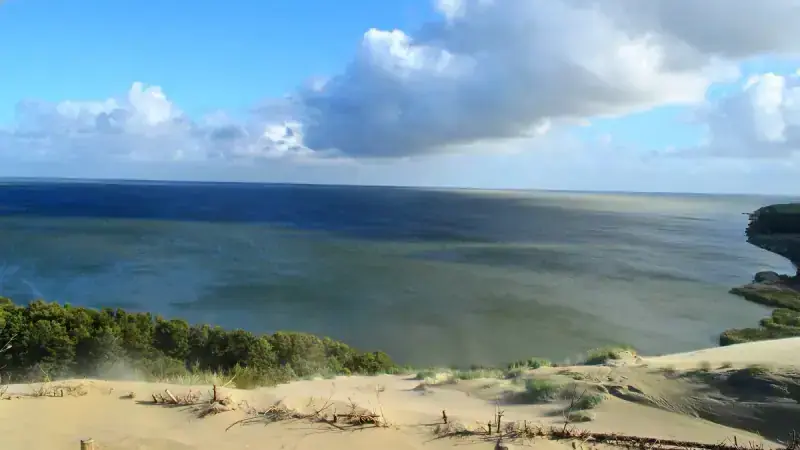 Nagliai Nature Reserve