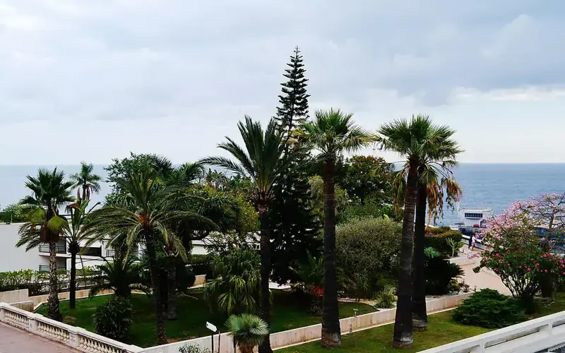Casino Gardens