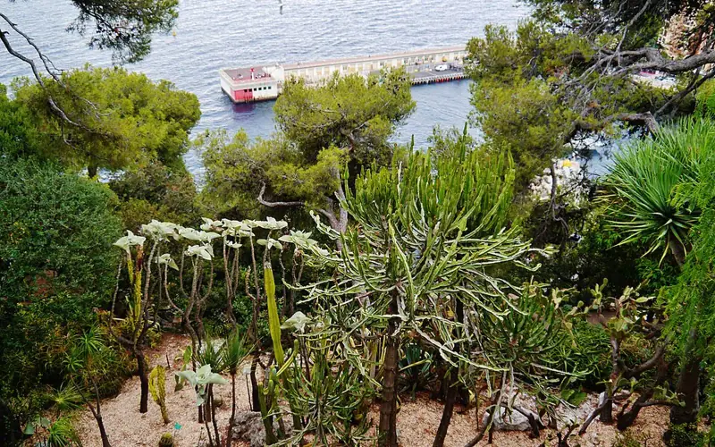 Saint Martin Gardens