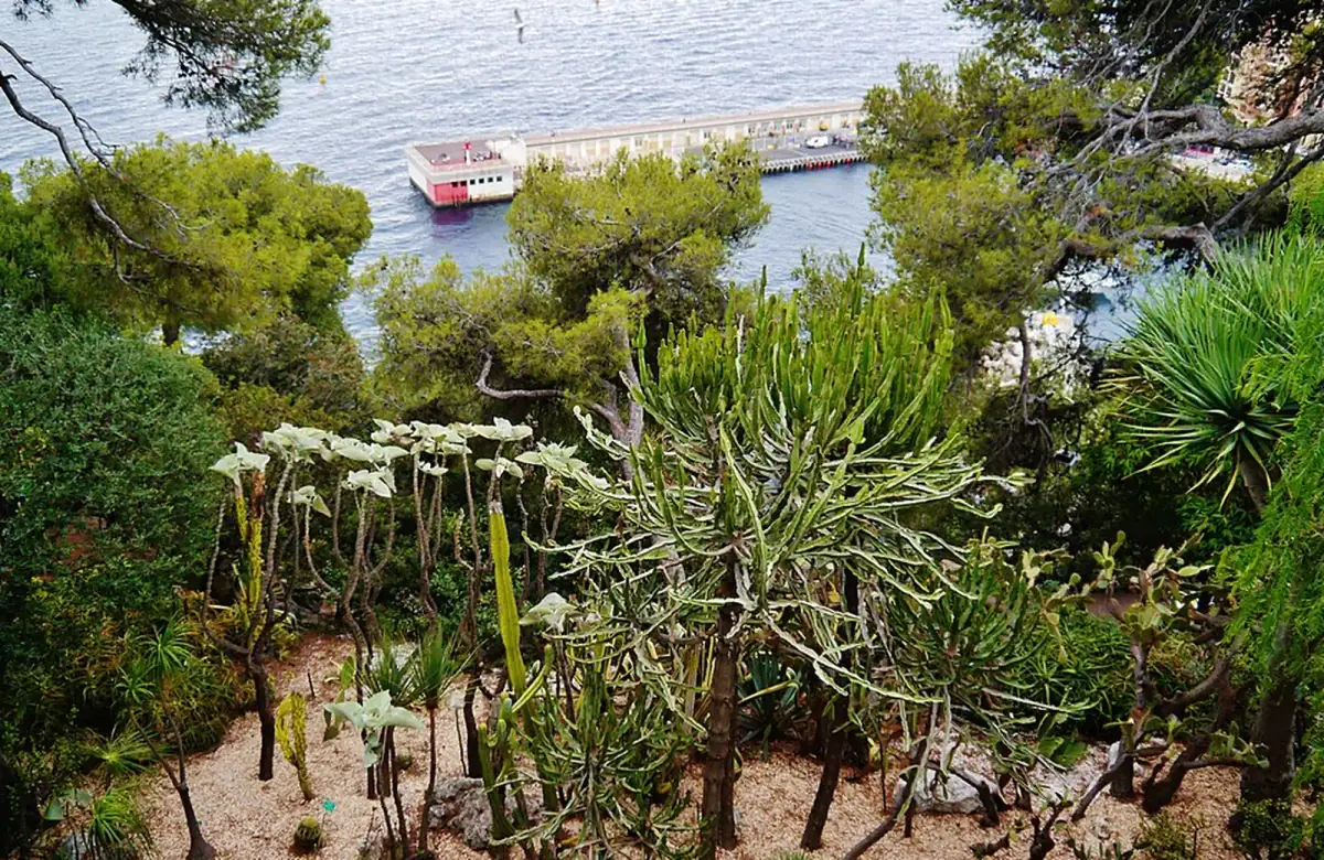 Saint Martin Gardens