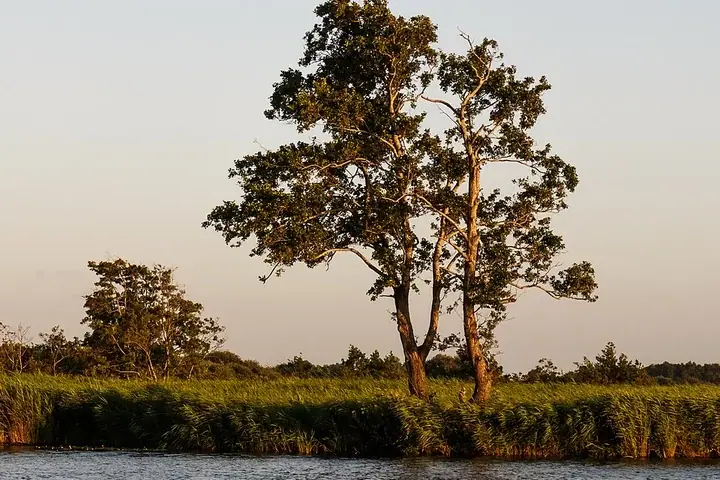 De Alde Feanen National Park