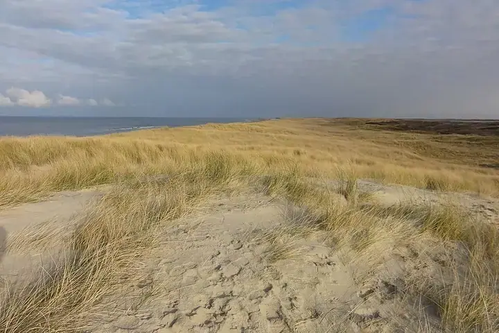 Dunes of Texel National Park