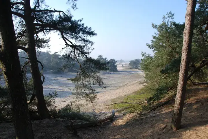 Hoge Veluwe National Park