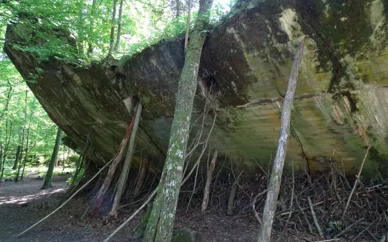 Wolf’s Lair