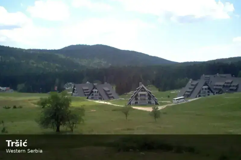 Tršić