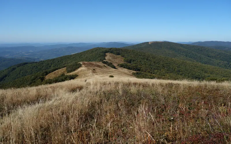Poloniny National Park