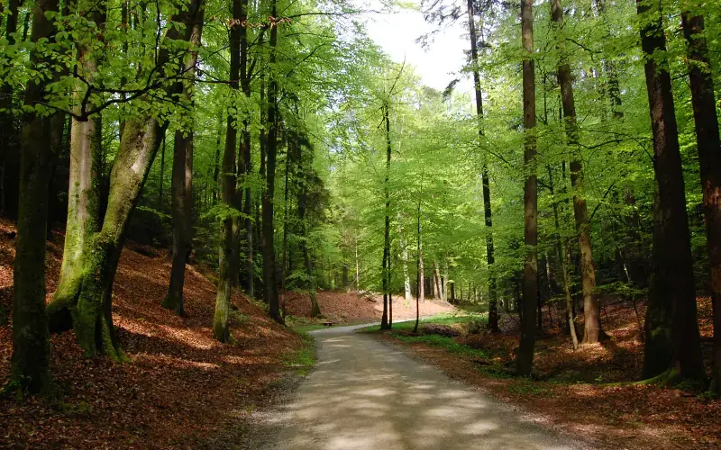 Arboretum Volčji Potok