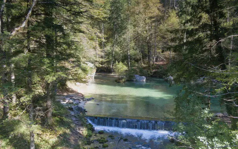 Kamniška Bistrica Spring