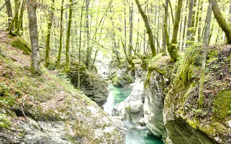 Mostnica Gorge