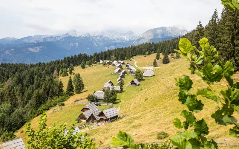 Planina Zajamniki Viewpoint
