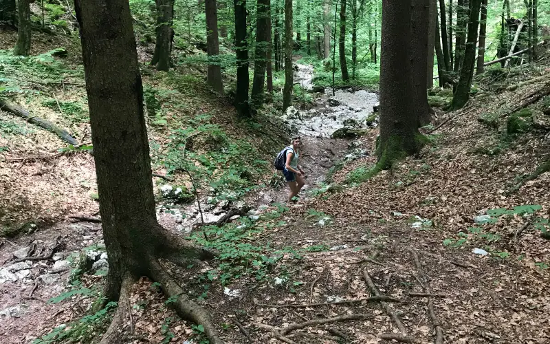 Pokljuka Gorge