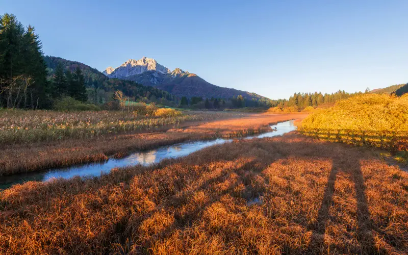 Zelenci Nature Reserve