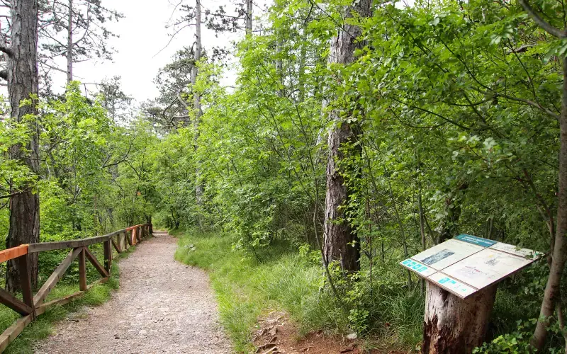 Škocjan Education Trail and Village