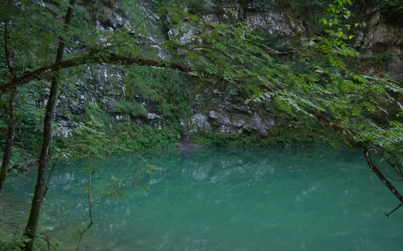 Wild Lake Divje Jezero