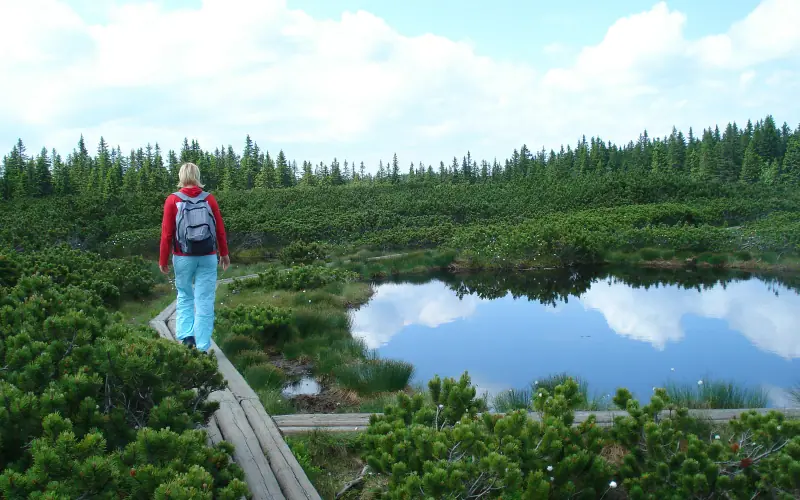 Lovrenc Lakes Peat Bogs