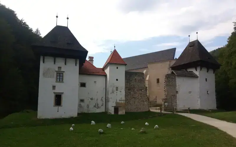 Žiče Charterhouse