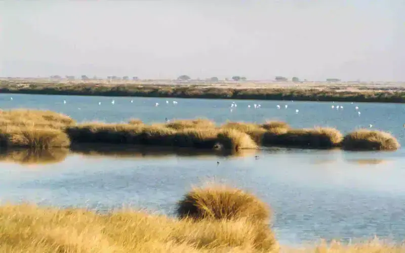 Doñana National Park