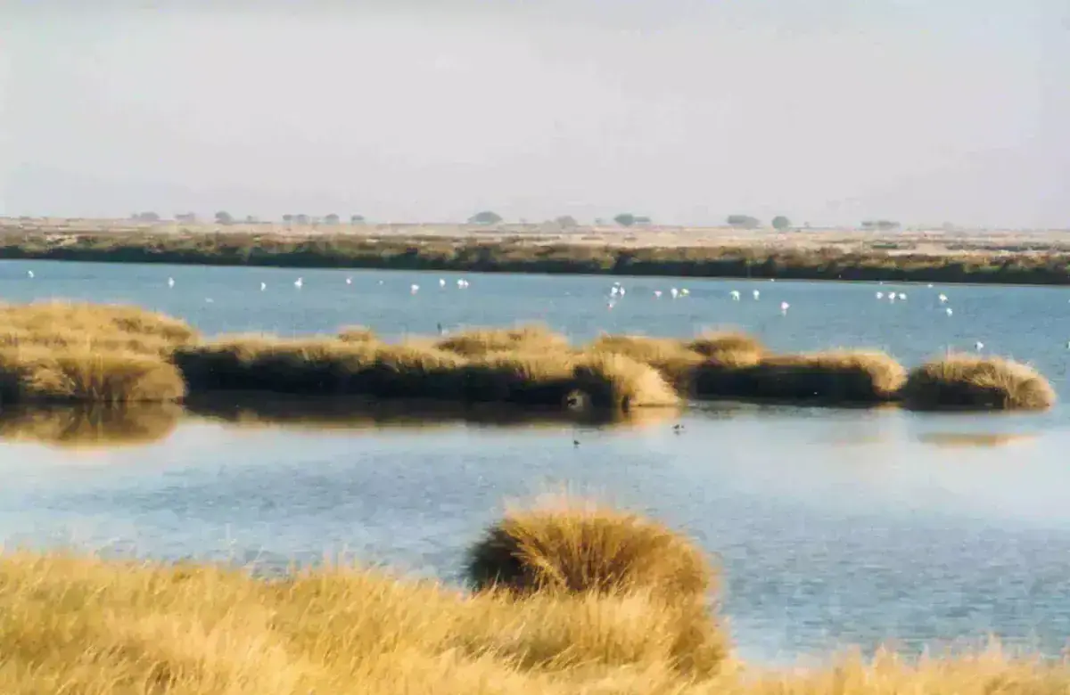 Doñana National Park