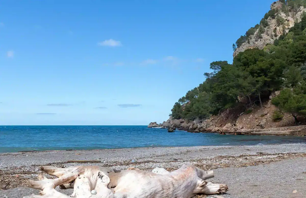 Serra de Tramuntana