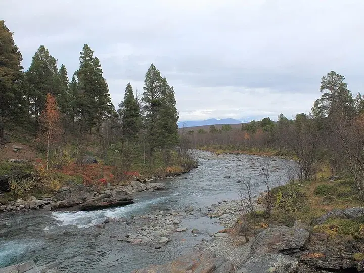 Abisko National Park
