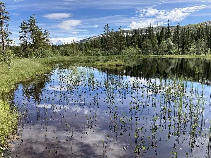 Fulufjället National Park
